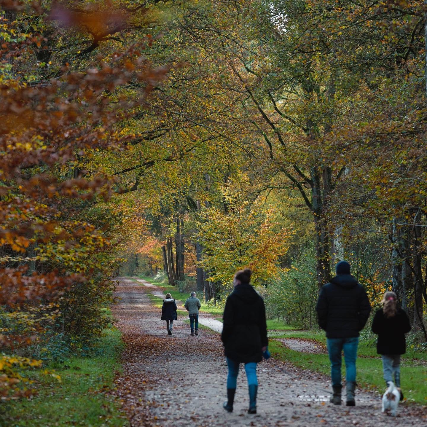 Wandelen in het Bergherbos bij Zeddam