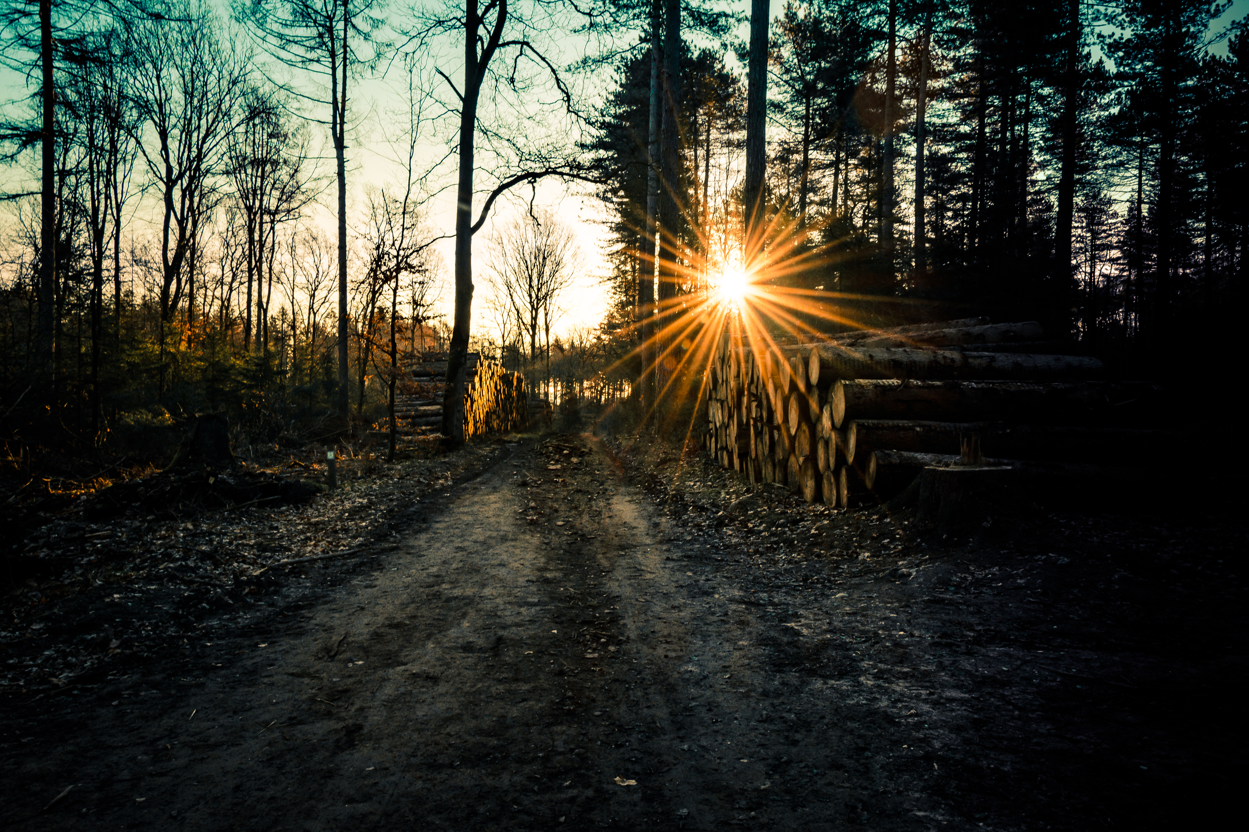 Rust, ruimte en natuur