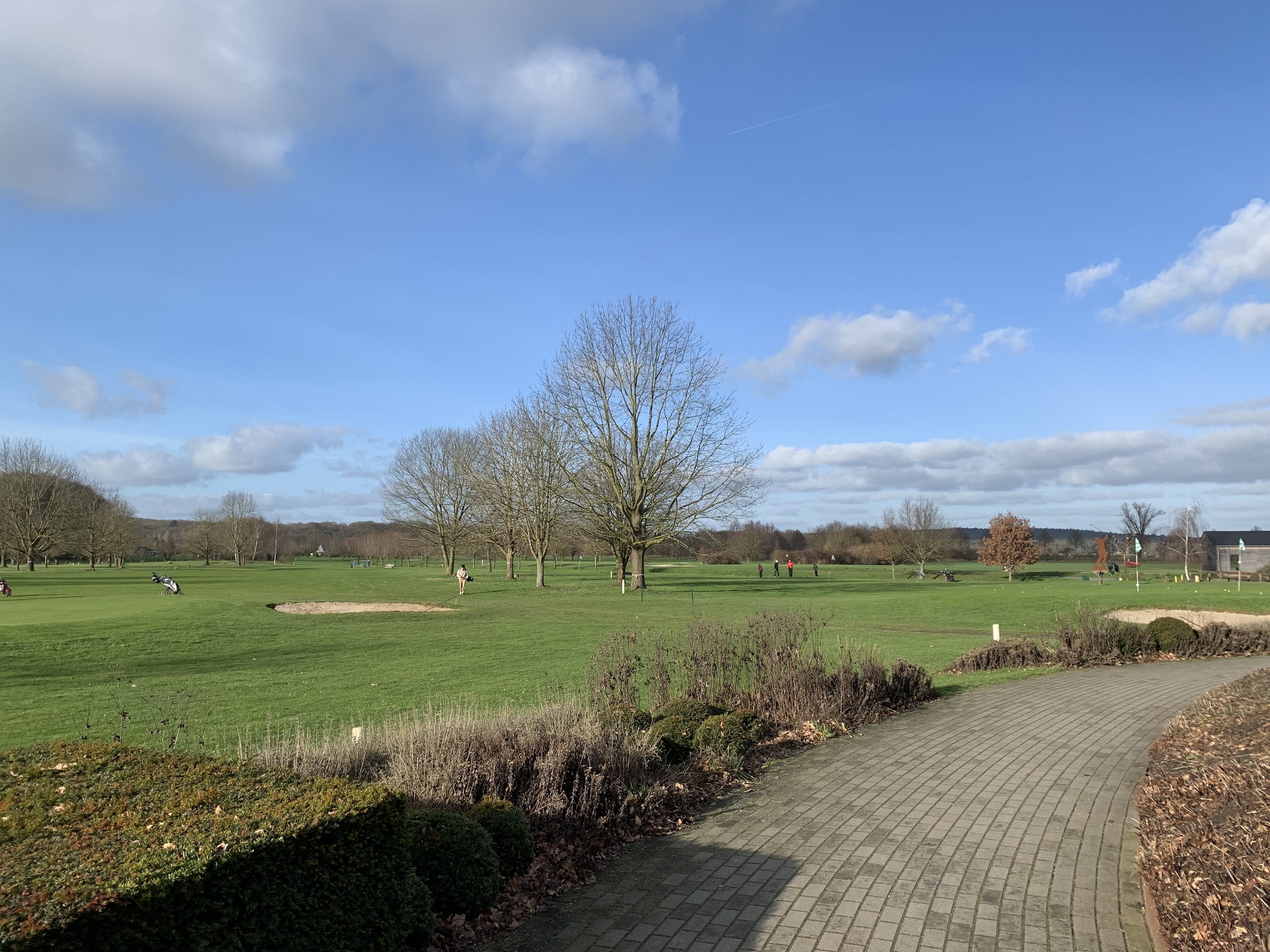 Golfen