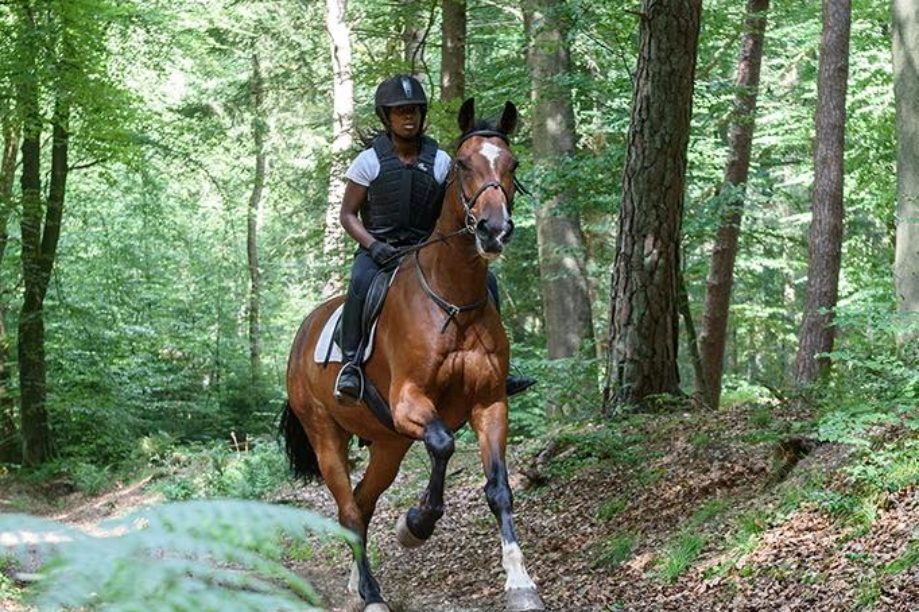 Paardrijden Montferland