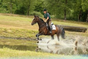 Paardrijden Montferland