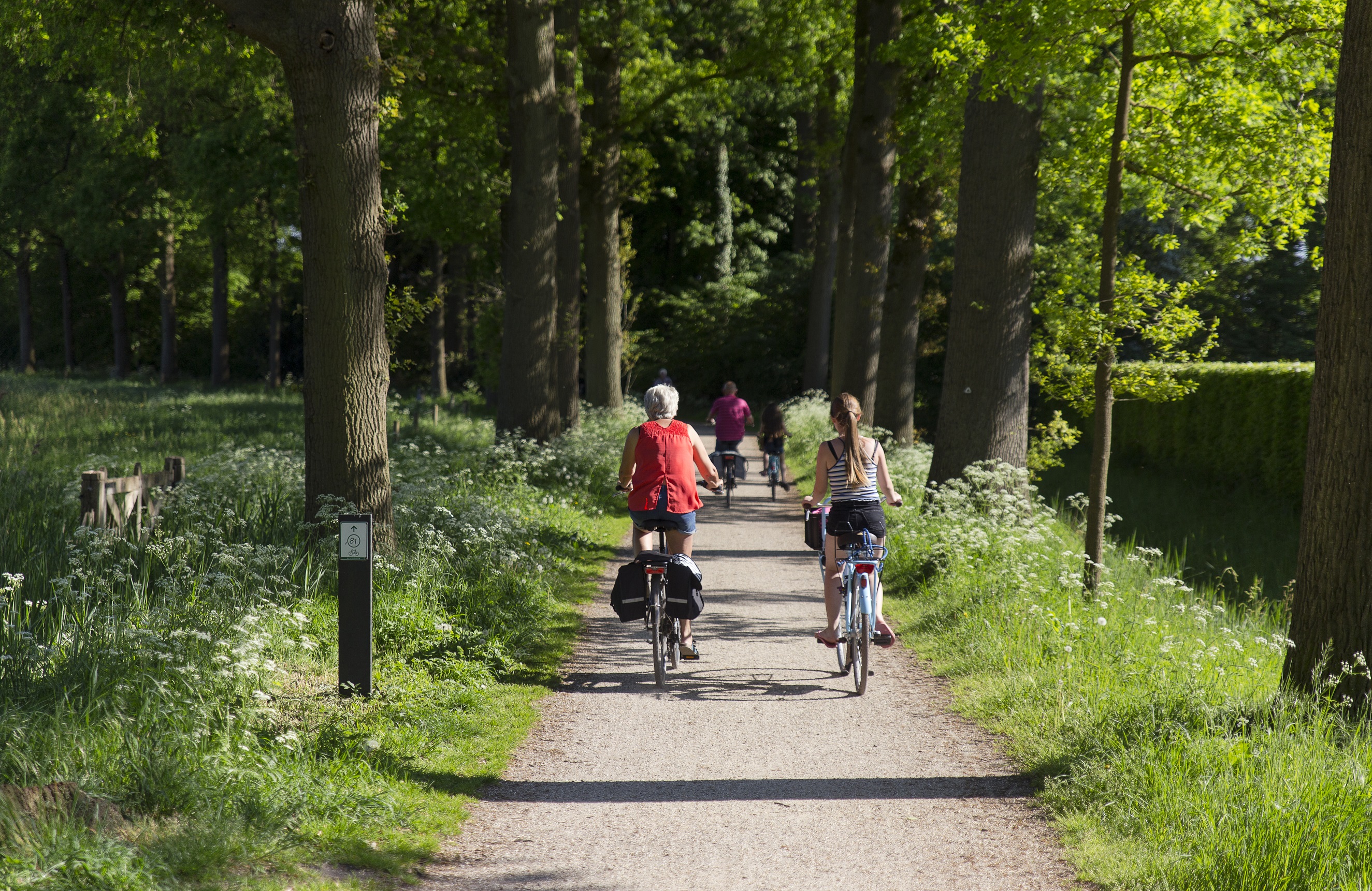Fietsroute Kijkje door Montferland, De Liemers en het Duitse Achterland - Routiq