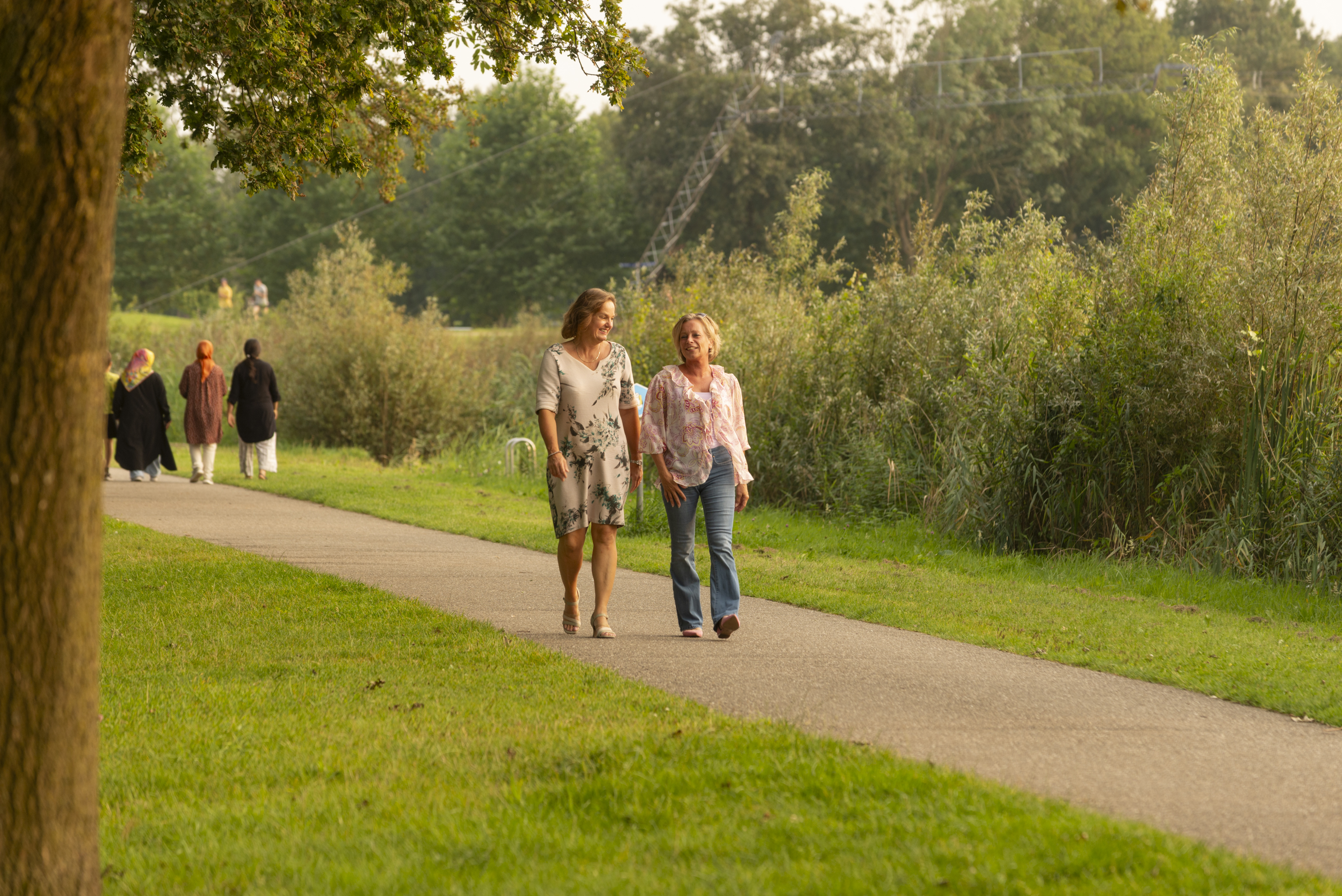 Wandelroute Rondje Kasteel Huis Bergh en Bergherbos - Routiq